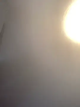 malek xarx  online show from 1, 3, 2026