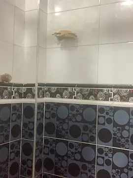 malek xarx  online show from 24, 2, 2026