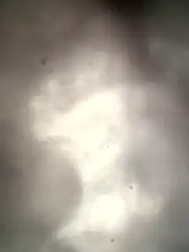 Lamar180 online show from 13, 1, 2026