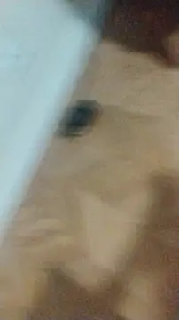 Snapshot of LeoMaduroSP chatting on 17, 1, 2026 LeoMaduroSP online show from 17, 1, 2026