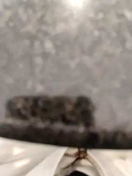 LeoMaduroSP online show from 17, 9, 2025