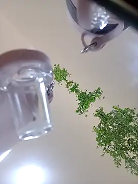 Samantha hotly online show from 31, 10, 2025