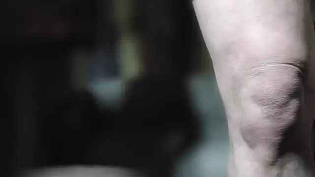 JoeyUhOh online show from 29, 10, 2025