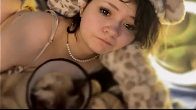 nikoli naw online show from 20, 2, 2026