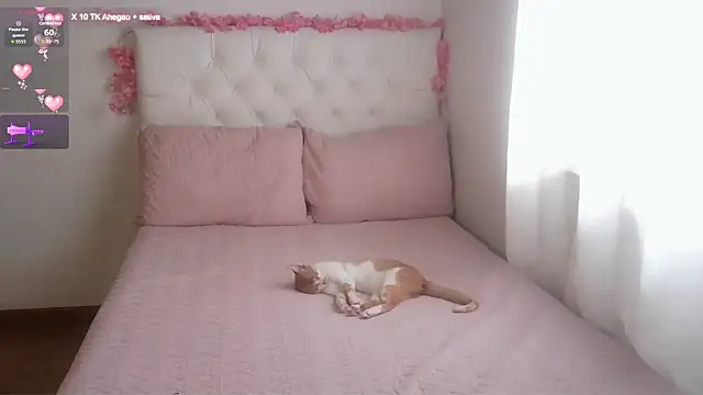 AbrilVelastegui7 online show from 28, 2, 2026