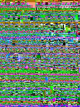 Liza Will online show from 22, 9, 2025