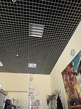 Liza Will online show from 14, 11, 2025