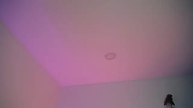 Snapshot of Stepha_babe chatting on 8, 9, 2025 Stepha babe online show from 8, 9, 2025