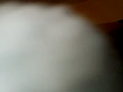 Shemalefucker79 online show from 13, 4, 2026