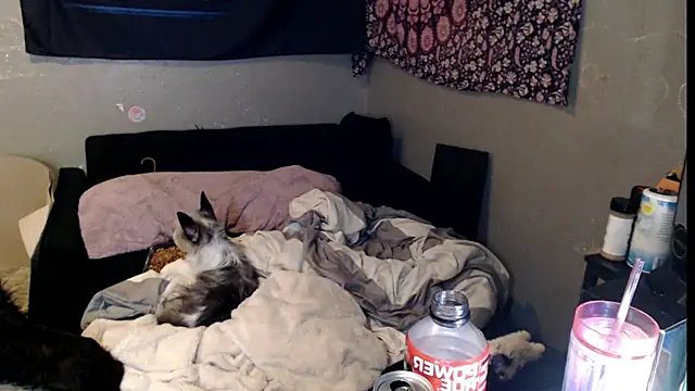 Snapshot of London_Ray chatting on 15, 11, 2025 London Ray online show from 15, 11, 2025