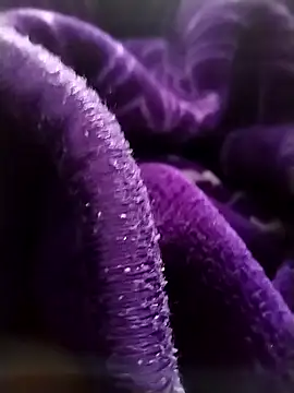 saneer69tew online show from 13, 4, 2026