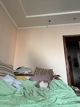 DollyTall online show from 19, 3, 2026