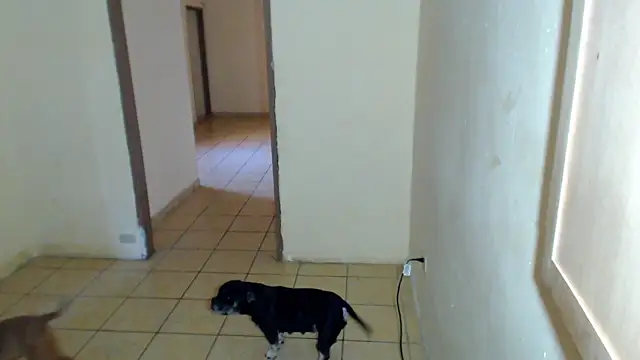 Snapshot of BlondZilla chatting on 1, 2, 2026 BlondZilla online show from 1, 2, 2026