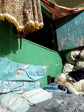 Ridick2025 online show from 6, 11, 2025