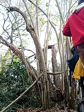 Wilsonn86 online show from 12, 11, 2025