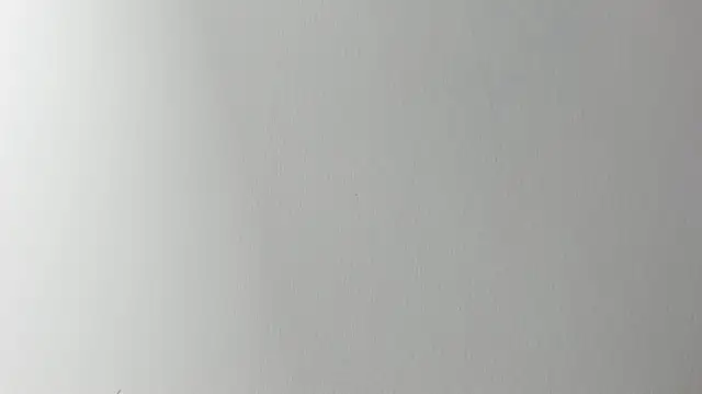 Lady miss    online show from 6, 11, 2025