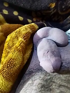 ADAM50001 online show from 2, 4, 2026