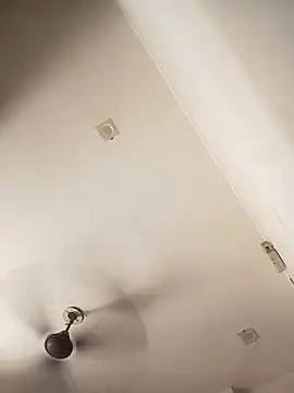 Trisha 71 online show from 12, 10, 2025