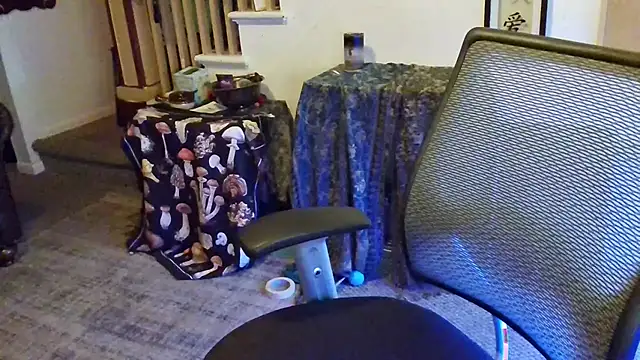 MasterDaddyCool online show from 4, 10, 2025