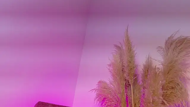 KITY HILL online show from 12, 1, 2026