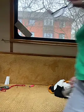 ladyboatlady online show from 16, 11, 2025