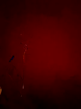 sasatimido online show from 2, 11, 2025