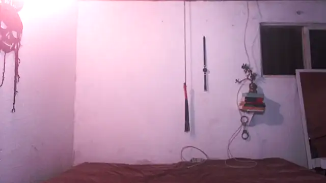 Snapshot of indomitaFox chatting on 4, 12, 2025 indomitaFox online show from 4, 12, 2025