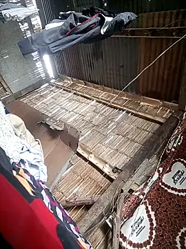 Davir2001 online show from 4, 3, 2026