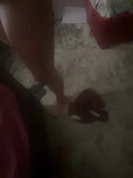 silverbay-456 online show from 22, 9, 2025