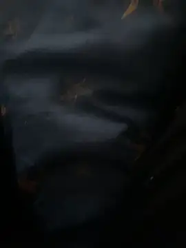 high geil online show from 3, 12, 2025