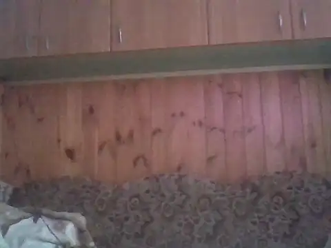 Snapshot of Maksymilian1 chatting on 15, 2, 2026 Maksymilian1 online show from 15, 2, 2026