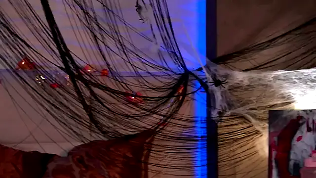 AriWild online show from 1, 11, 2025