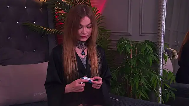 AriWild online show from 11, 7, 2026