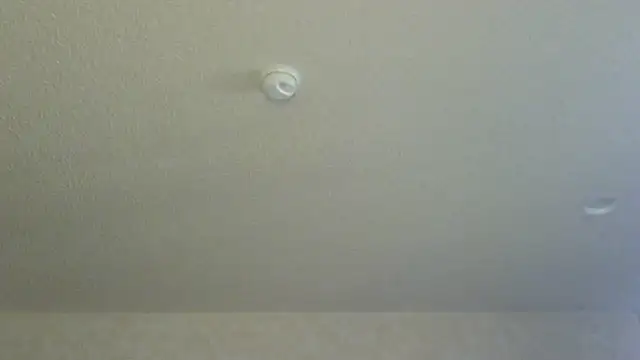 Flossee online show from 11, 4, 2026