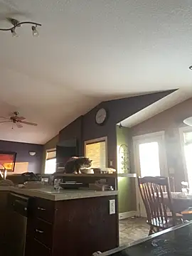 starsaligned online show from 6, 1, 2026