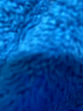 starsaligned online show from 4, 10, 2025