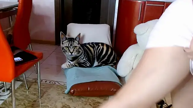 SquirtMilf00 online show from 8, 4, 2026