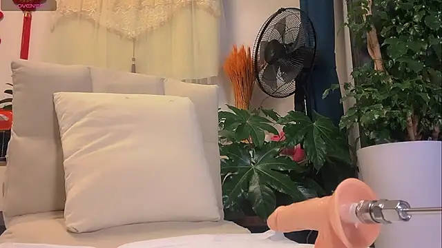 B-Yaya online show from 3, 5, 2026