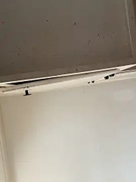 Snapshot of curis4270panda chatting on 15, 2, 2026 curis4270panda online show from 15, 2, 2026