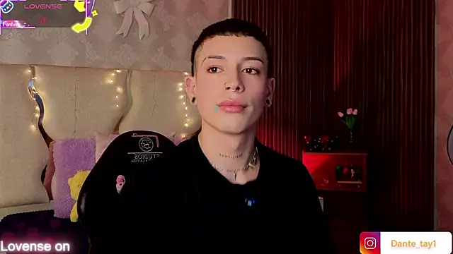 boyfox tay online show from 25, 2, 2026