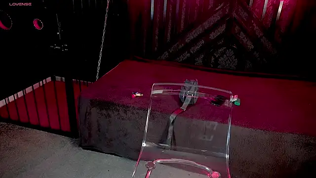 LiviaShy online show from 2, 12, 2025