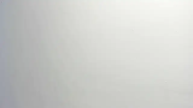 ximena vasquez8 online show from 7, 1, 2026