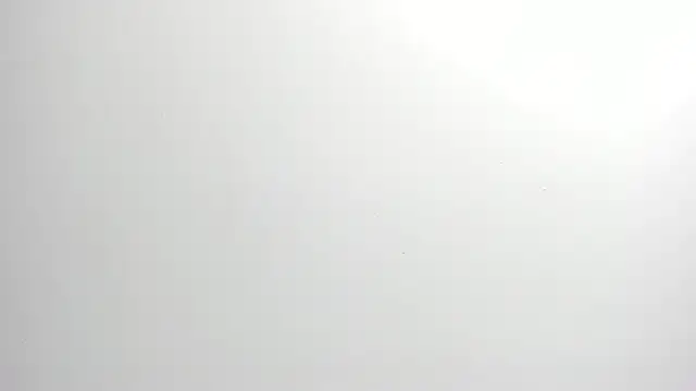 ximena vasquez8 online show from 9, 2, 2026