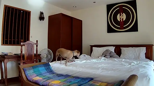 Fate Fletcher online show from 25, 9, 2025