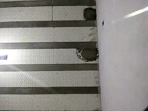 Rafaschuler online show from 16, 12, 2025