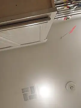 himNIGuys online show from 20, 3, 2026