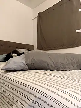 Snapshot of himNIGuys chatting on 10, 2, 2026 himNIGuys online show from 10, 2, 2026