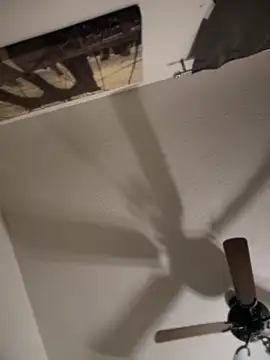 Snapshot of himNIGuys chatting on 24, 11, 2025 himNIGuys online show from 24, 11, 2025