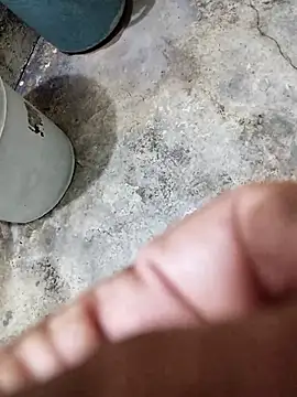 13elvergon online show from 17, 11, 2025