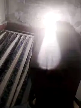 13elvergon online show from 25, 11, 2025